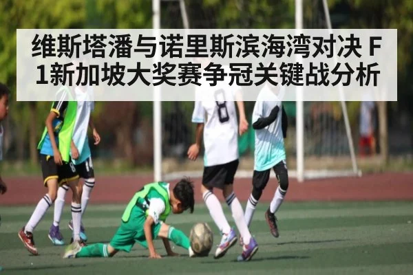 维斯塔潘与诺里斯滨海湾对决 F1新加坡大奖赛争冠关键战分析