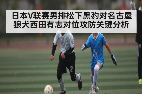 日本V联赛男排松下黑豹对名古屋狼犬西田有志对位攻防关键分析